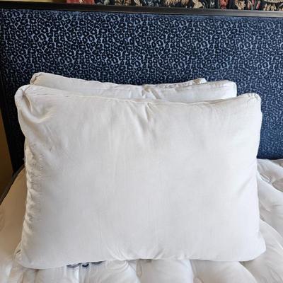 Three Wamsutta Dream Zone Pillows. 