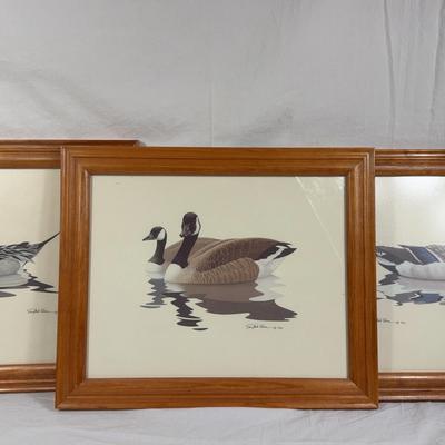 Set of 3 Signed Wildlife Prints by Richard Sloan (1980)