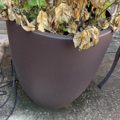 Large Pottery Brown Planter