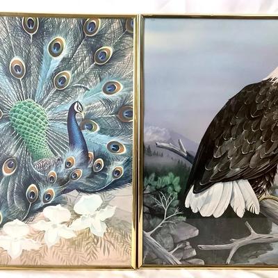 Pair of Vintage Framed Wildlife Prints – Peacock & Eagle