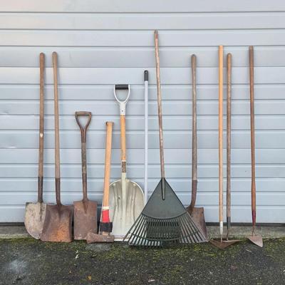 Collection of Garden Tools 