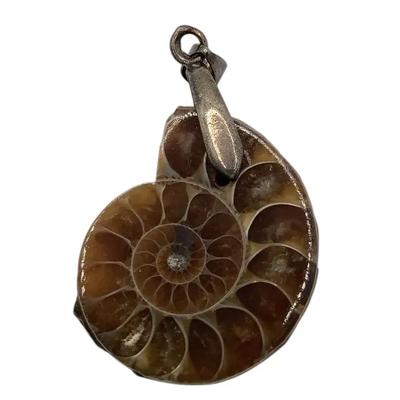  Fossilized Ammonite Shell Pendant 