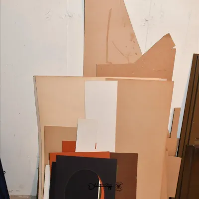 Bonus room 207