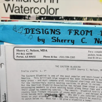 Bonus room 258