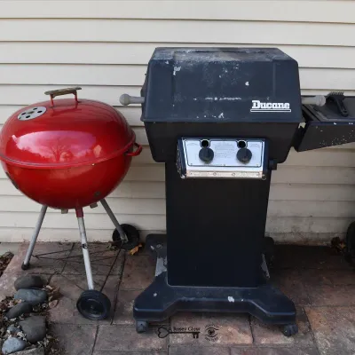 2056 back yard