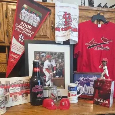 Cardinals Lot