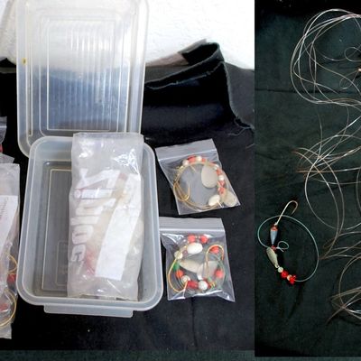Lot of 17 Live Bait Beaded Rigs / Flounder / Flatfish / Bottom Fishing Rigs (Pud5)