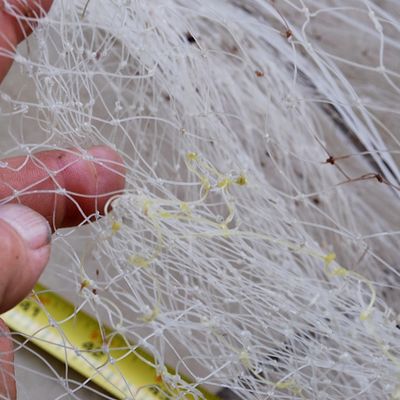 Monofilament Cast Net 8 Ft with 1/2" Mesh