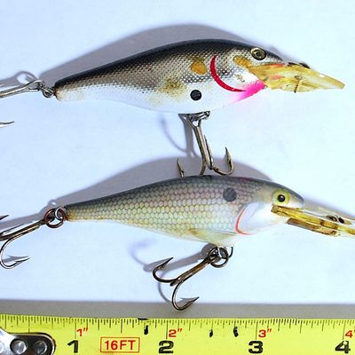 2 Crankbait Lures Rapala Deep Runner Shad Rap (Finland) & Rebel Shallow Floater (San4)
