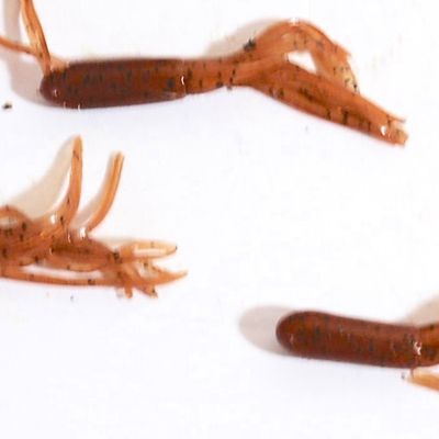 Lot of Tiny TubiLure Jigs and Jigheads in 3 Colors! (Abj4)