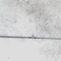 Shimano Bantam Graphite Rod & Shimano Bantam TX Mag Baitcasting Reel LH Retrieve (Bbc4)