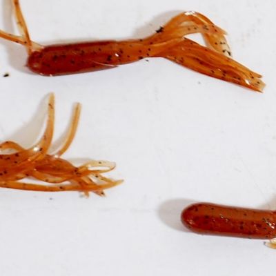 Lot of Tiny TubiLure Jigs and Jigheads in 3 Colors! (Abj4)