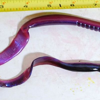 Lot of 24 Culprit & Bass Assassin Plastic / Rubber Worms 7" / 10" / 12" (Cmv5)