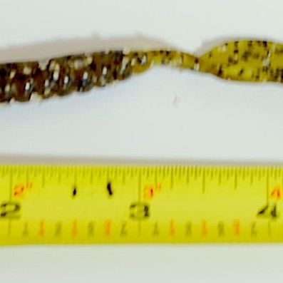 Lot of 3 Packages of Strike King Green Pumpkinseed Floating Worms 7.5" Ribbontail GARLIC (Rav8)