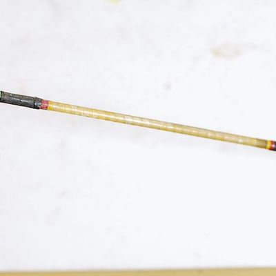 Shakespeare UGLY STIK Saltwater BWS 1100 Fishing Rod (Hbg8)
