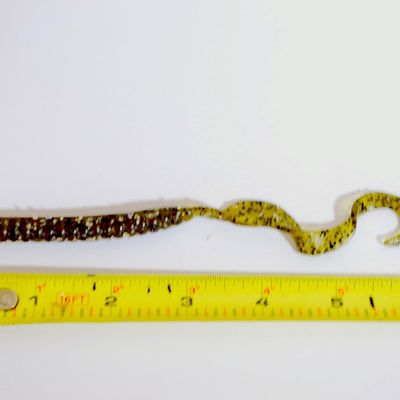 Lot of 3 Packages of Strike King Green Pumpkinseed Floating Worms 7.5" Ribbontail GARLIC (Rav8)