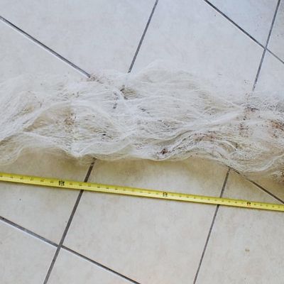 Monofilament Cast Net 8 Ft with 1/2" Mesh