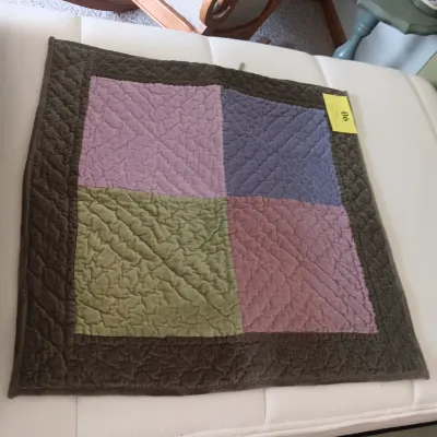 QUEEN SIZE QUILTED BEDSPREAD, SHAMS AND THROW PILLOW CASE FROM THE COMPANY STORE PLUS A VERY SOFT THROW BLANKET