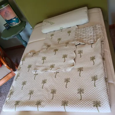 TWIN SIZE DUVET COVER W/SHAM AND BEDSPREAD PLUS A SET OF SHEETS AND BAMBOO PILLOW