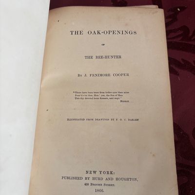 The Oak Openings; Or, the Bee-Hunter