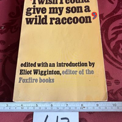 I Wish I Could Give My Son a Wild Racoon