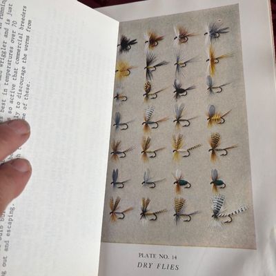 Trout by Ray Bergman