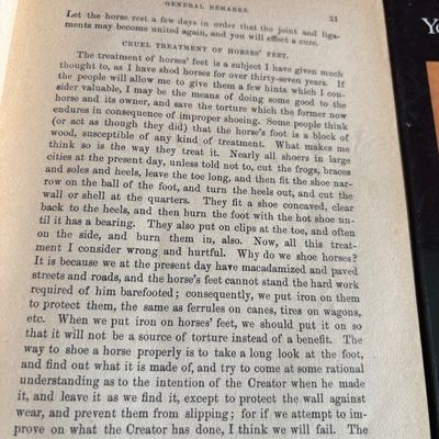 The Horse; A Book For the People And More