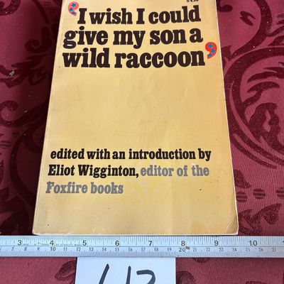 I Wish I Could Give My Son a Wild Racoon