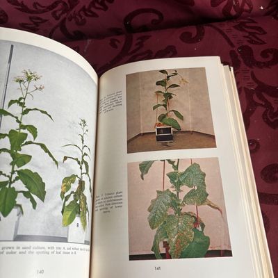 Hunger Signs in Crops