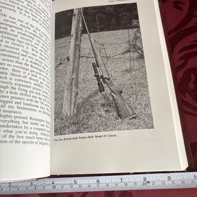 The Hunter's Rifle