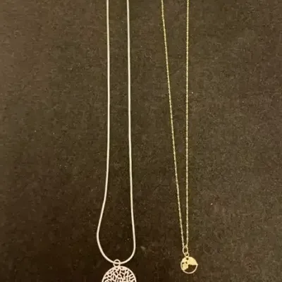 Two Necklaces- One W/ 925 Chain And Gf Chain