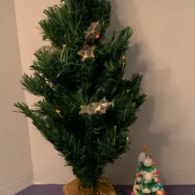 Fiber Optic Christmas Tree, Ceramic Tree And Extra Lights 