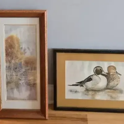 (2) Nicely Framed Art Pieces