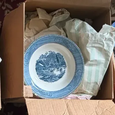 Mystery Lot- Blue & White China Pieces