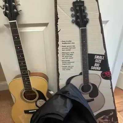 Mitchell Acoustic Guitar Pack