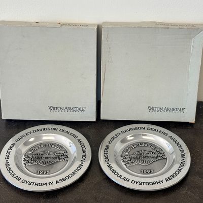 1995 Harley-Davidson / MDA "Ride for Life VIII" Pewter Plates