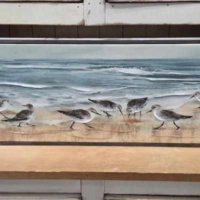 Birds On Beach