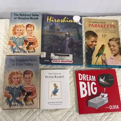 The Bobbsey Twins, Peter Rabbit, And More Kids Books