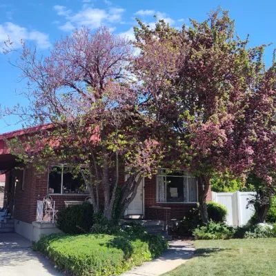 This cute home will be for sale soon too!