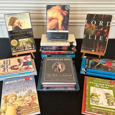 BY230 Various Children’s And Young Adult Books 