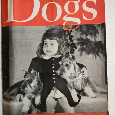 Sale Photo Thumbnail #36