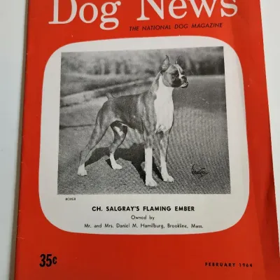Sale Photo Thumbnail #31