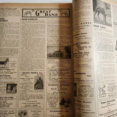 Sale Photo Thumbnail #35