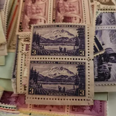 Sale Photo Thumbnail #554
