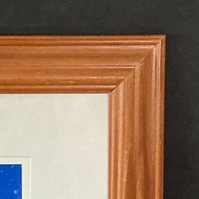 LOT 62: Pair of Framed Disney's Beauty and The Beast Wall Hangings - Numbered 16864 / 30000 "Belle Tames The Beast" and More
