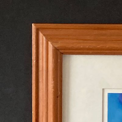 LOT 62: Pair of Framed Disney's Beauty and The Beast Wall Hangings - Numbered 16864 / 30000 "Belle Tames The Beast" and More