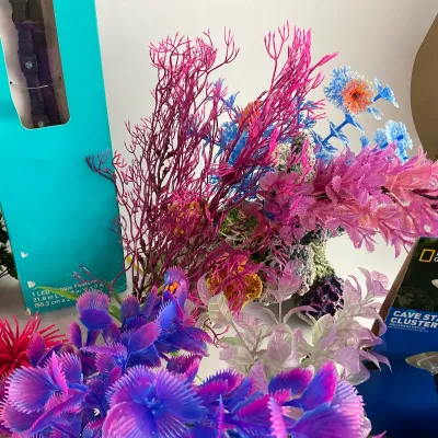 998 Large National Geographic Aquarium Décor Lot – 22 Pieces