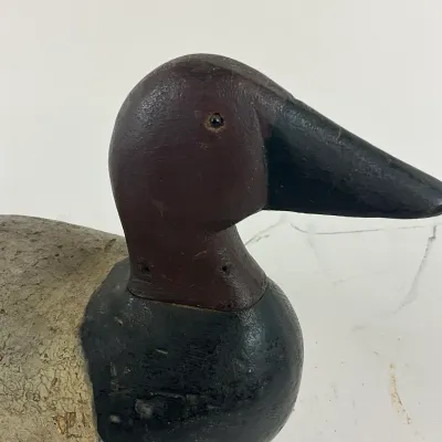921 Vintage Wooden Duck Decoy - Canvasback Style, Forward Easton MD, on Stand