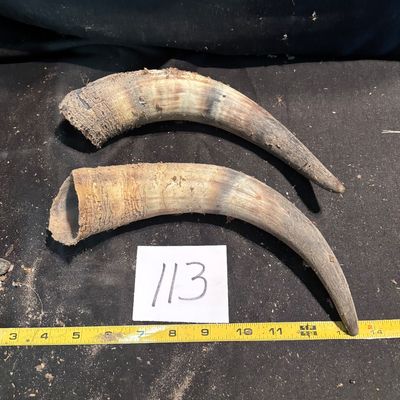 Horn Set