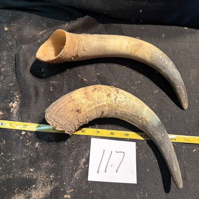 Horn Set